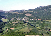 panorama Trivio